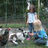knuffelen met de konijnen mogen de kinderen zelf via het sluisje in de kooi.